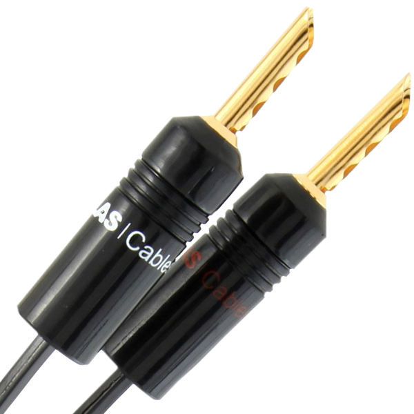 Premium Speaker Cables for Ultimate Audio Quality Future Shop