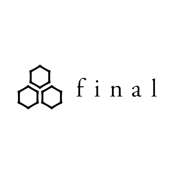 Final Audio Earphones