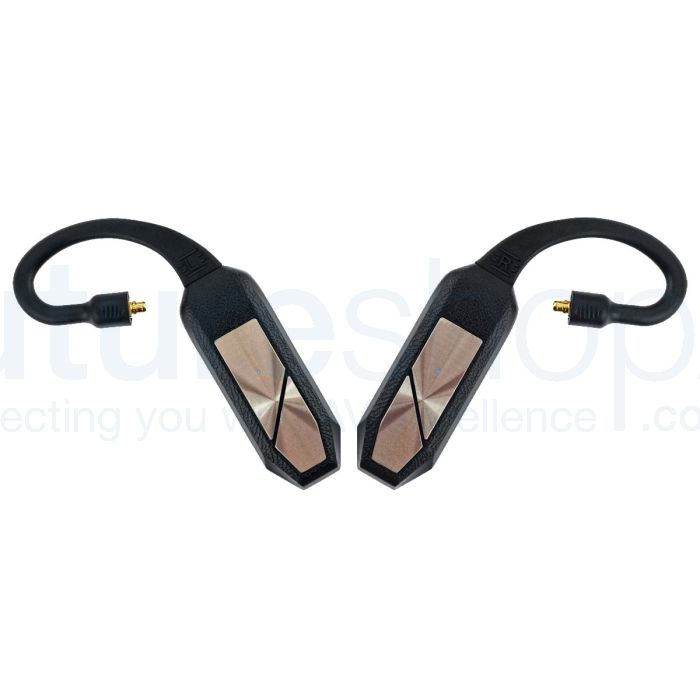 iFi Audio GO Pod