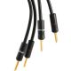 Atlas Hyper 2.0 Speaker Cable - Custom Length (Special Offer)