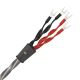 WireWorld Equinox 10 BiWire Speaker Cable - Factory Terminated