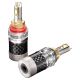 Furutech FT-816 Carbon Finished Speaker Binding Posts - Rhodium - Pair