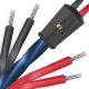 Wireworld Oasis 10 Bi-Wire Speaker Cable - Factory Terminated