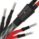 Wireworld Platinum Eclipse 10 Bi-Wire Speaker Cable - Factory Terminated