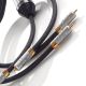 Shunyata Research Sigma v2 2 RCA to 2 RCA Audio Cable Pair - 1m