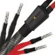Wireworld Silver Eclipse 10 Bi-Wire Speaker Cable - Factory Terminated