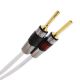 QED XT25 Speaker Cable - Custom Length
