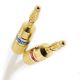 Van Den Hul The Clearwater Speaker Cable - Custom Length