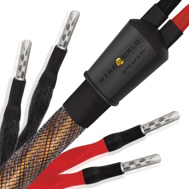 Wireworld Eclipse 10 Bi-Wire Speaker Cable - Factory Terminated