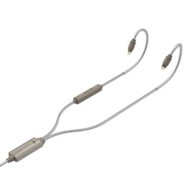 iFi Audio GO Cable - IEM USB C Dac Cable