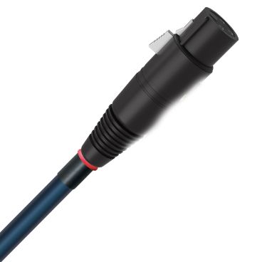 Wireworld Oasis 10 2 XLR to 2 XLR Audio Cable Pair