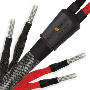 Wireworld Silver Eclipse 10 Bi-Wire Speaker Cable - Factory Terminated