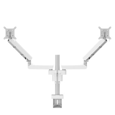 Vogels 4237