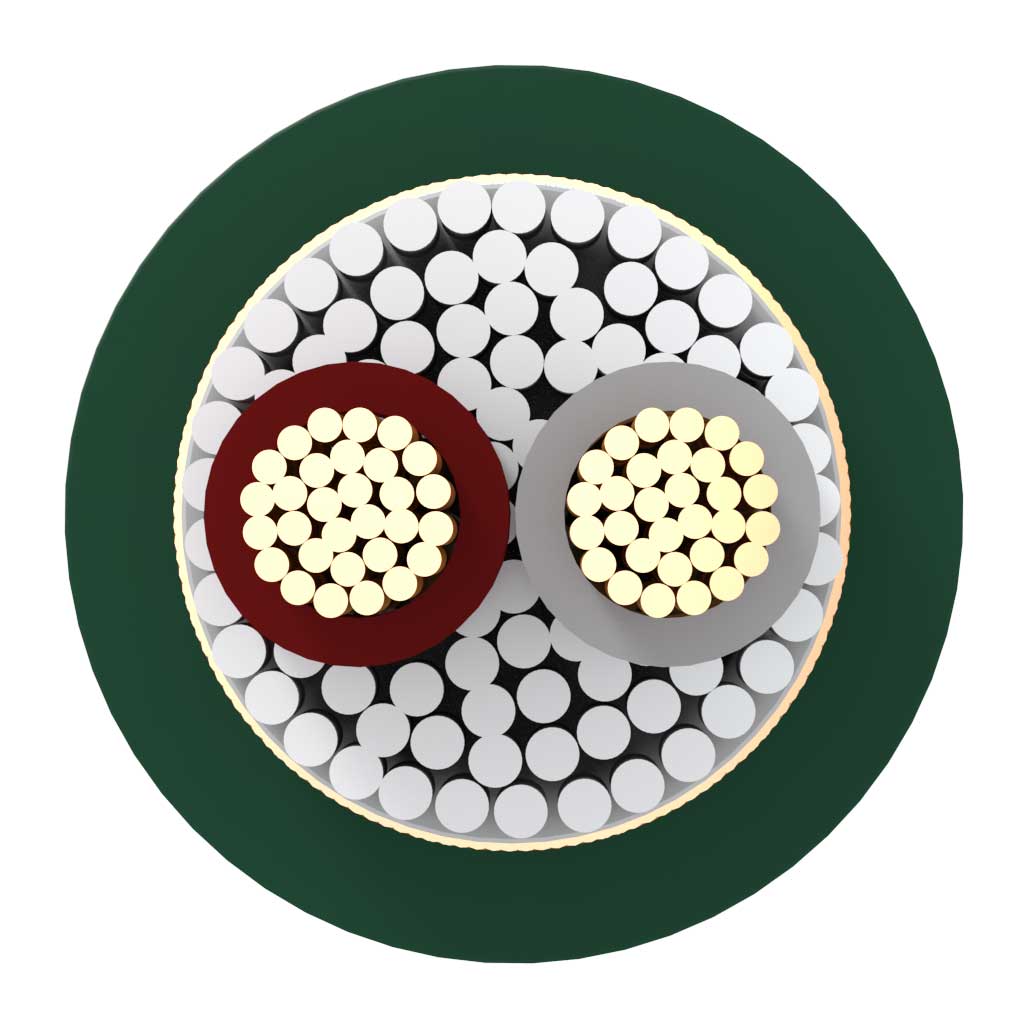 Furutech FA-αS21 cross-section Cross-section of the Furutech FA-αS21 showing two stranded conductors, cotton filler, braided shield and green sheath