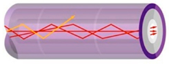 QED PMMA Optical Fibres QED PMMA Optical Fibres