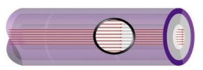QED Reference Optical Fibres QED Reference Optical Fibres