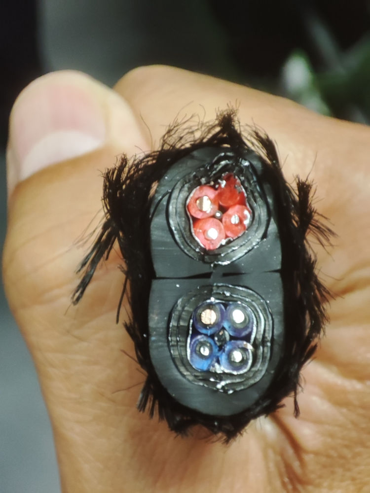 Cross-section of an AudioQuest Dragon speaker cable showing PSS conductors and multi-layer construction