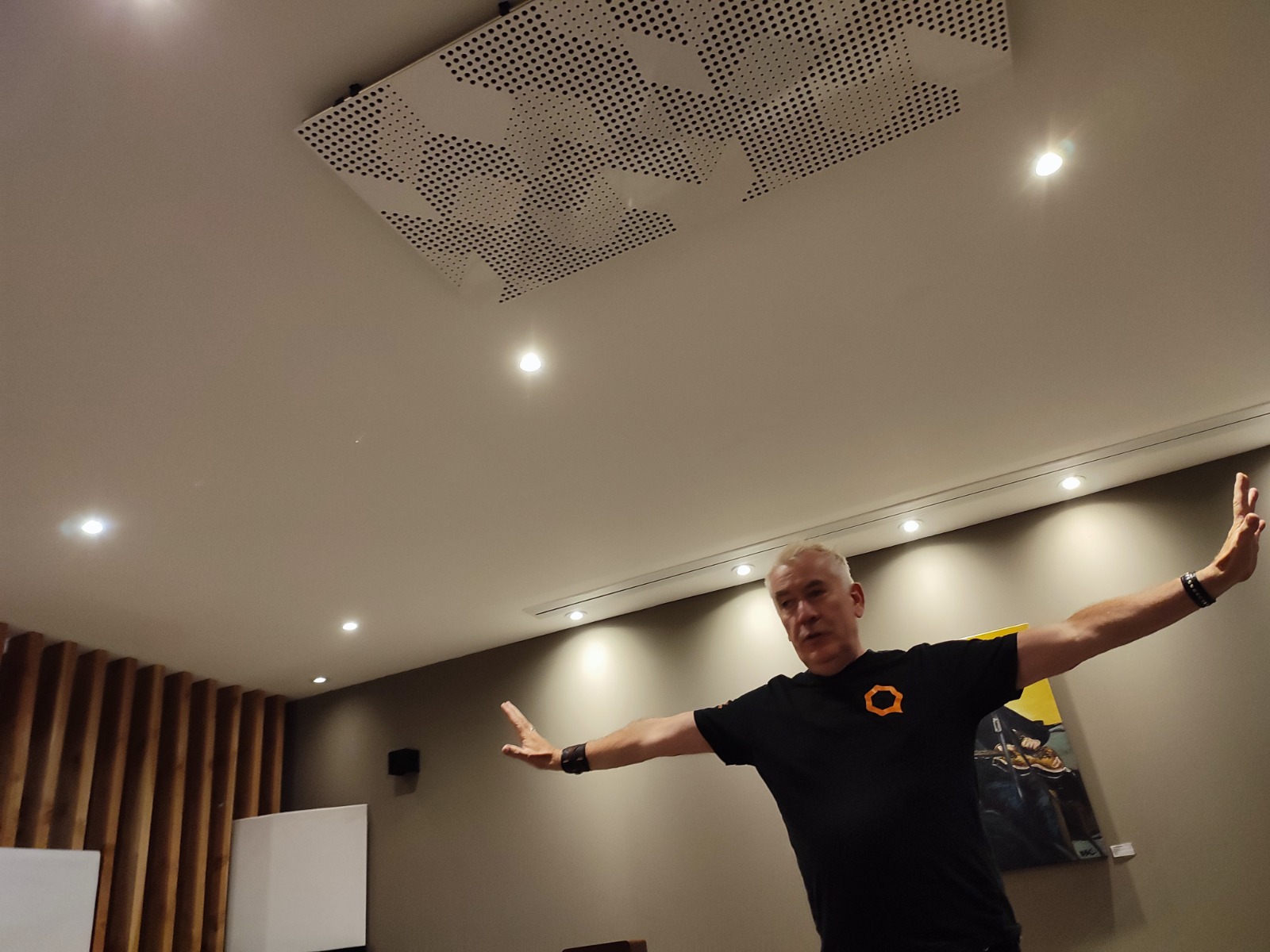 Loud and Clear floating listening room showing diffraction wall with hand-cut wood beams