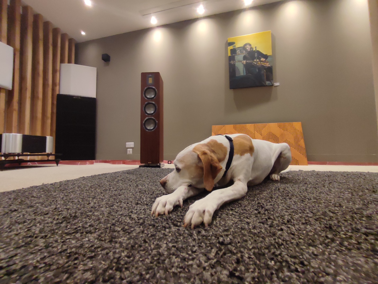 Nordost Red Dawn 3 power cable in use at Loud and Clear listening room